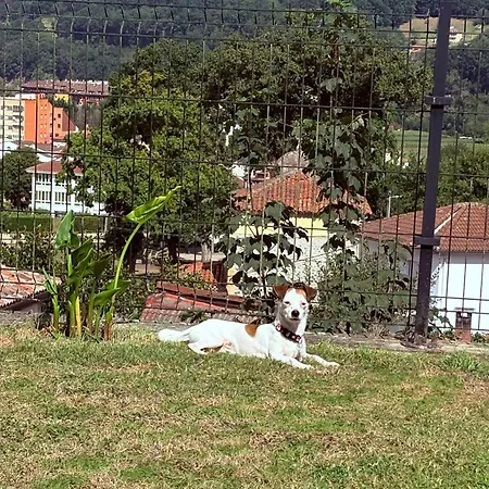 Cangas Relax *