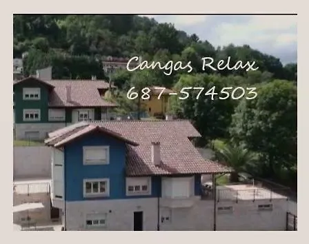 Cangas Relax アパート Onís
